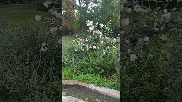ЧИСТАЯ ВОДА-СТУПЕНИ В ПАРКЕ смотреть онлайн
