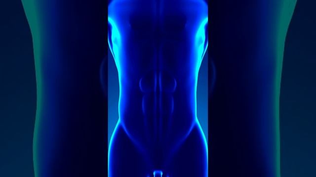 5 Incredible Facts About the Pancreas | Ramsha Iqbal | #shortsfeed #viral смотреть онлайн