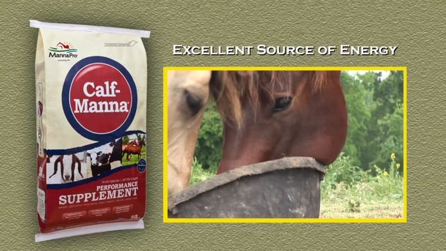 Manna Pro Calf Manna смотреть онлайн