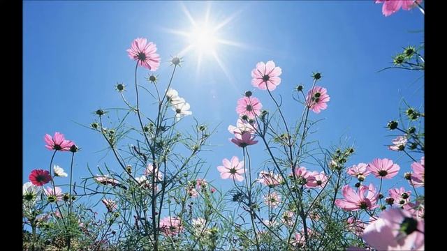 愛是永不止息 JASS CD3 смотреть онлайн