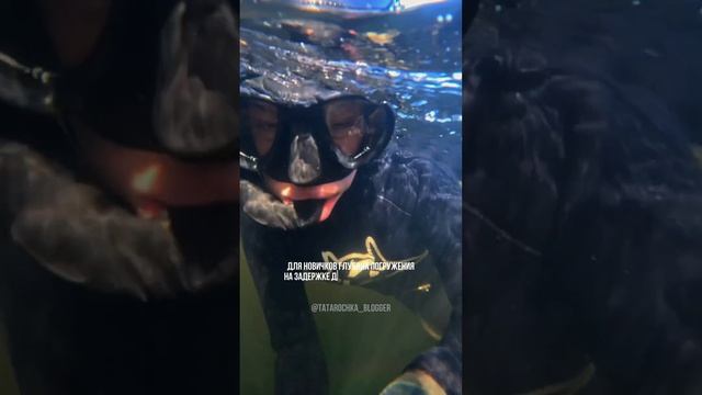 Фридайвинг в Арктике смотреть онлайн