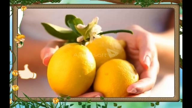 ► Limon Ning Foydali Xususiyatlari ♦♦ Лимон нинг фойдали хусусиятлари ◄