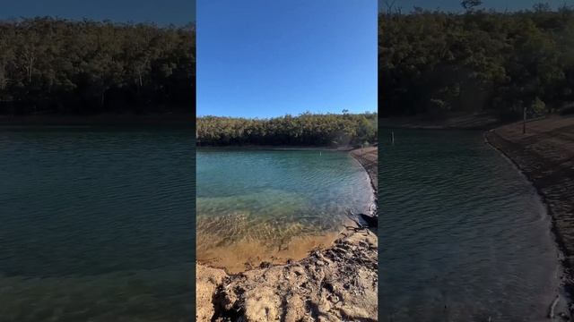 Хайкинг #австралия #хайкинг #лес #природа #влог #vlog #shortsvideo смотреть онлайн