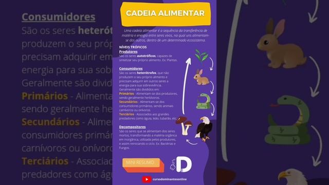 Cadeia Alimentar - Mini Resumo смотреть онлайн