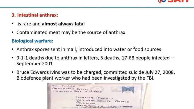 Microbiology - Bacillus species (Part 1) смотреть онлайн