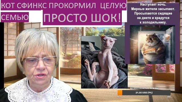 Забавная история. Как кот сфинкс целую семью вкусно прокормил смотреть онлайн