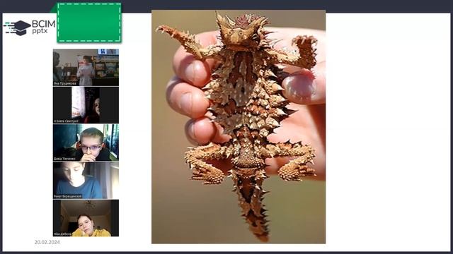 20.02, ядс, повідомлення смотреть онлайн