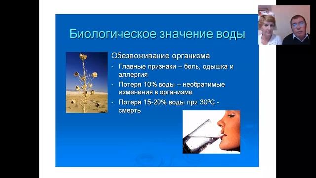 с чего начать? конечно же ВОДА! смотреть онлайн