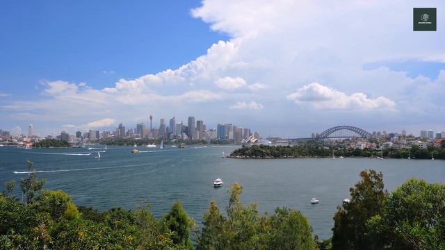 SỰ THẬT VỀ NHÀ HÁT SYDNEY: QUÁ TRÌNH XÂY DỰNG KHÔNG HỀ SUÔN SẺ | Amazing World -Khám Phá Thế Giới смотреть онлайн