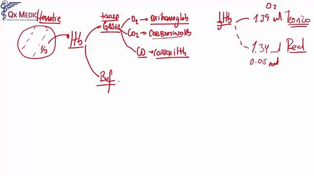HEMATOLOGÍA 2 смотреть онлайн