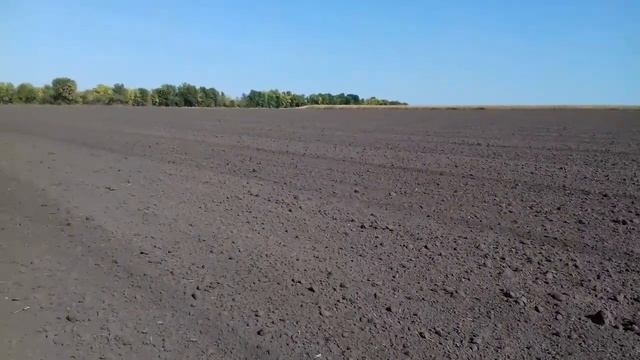 Підготовка поля до посіву ріпаку.Огляд культиватора. смотреть онлайн