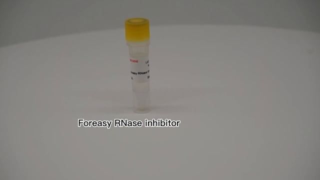 Foreasy RNase Inhibitor смотреть онлайн
