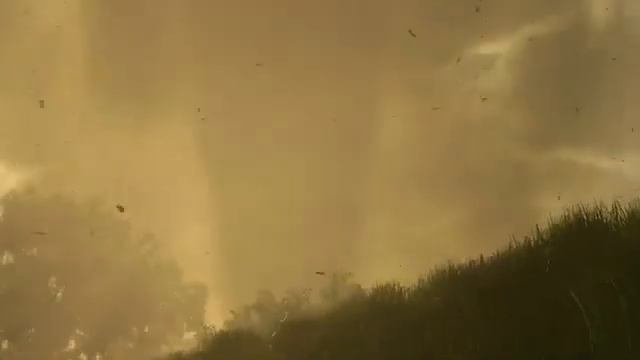 FS25 Gamescom Trailer Official I Farming Simulator 25 #farmingsimulator25 #fs25 #farming смотреть онлайн