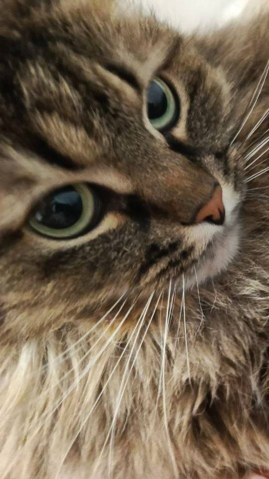 Обзорчик на Забаву