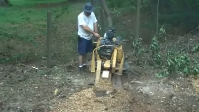 Stump Man - Stump Removal Stump Grinding Experts in Atlanta Georgia смотреть онлайн