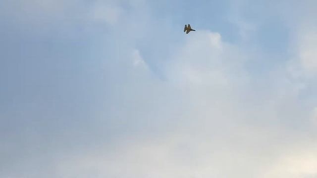 FX-820 2.4G 2CH Remote Control SU-35 Glider 290mm смотреть онлайн