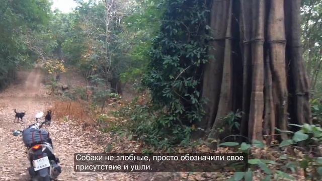 Районг - 06 01 2017 #Ствол смотреть онлайн