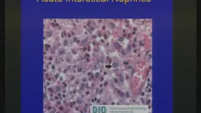 Urinalysis III смотреть онлайн