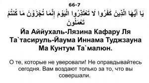 Сура 66 ат-Тахрим - Мишари Рашид