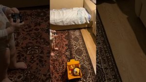 Eltronic  20-83 dance box 1500 обзор мощной колонки!