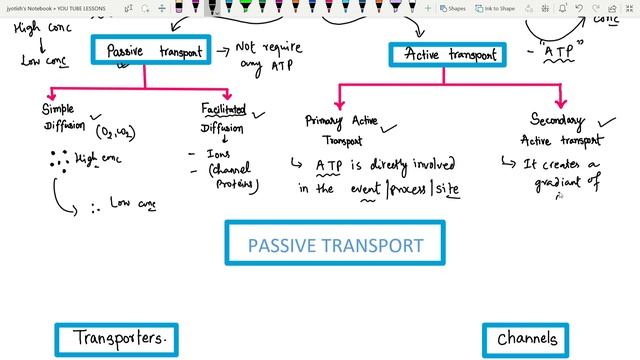 Transport across the plasma membrane I PASSIVE TRANSPORT I ACTIVE TRANSPORT I MOLECULAR BIOLOGY. смотреть онлайн