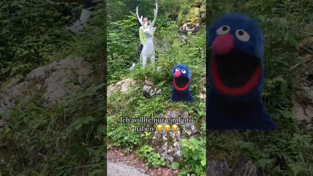 Ich wollte nur ein Foto haben 😂 #videooftheday #vod смотреть онлайн