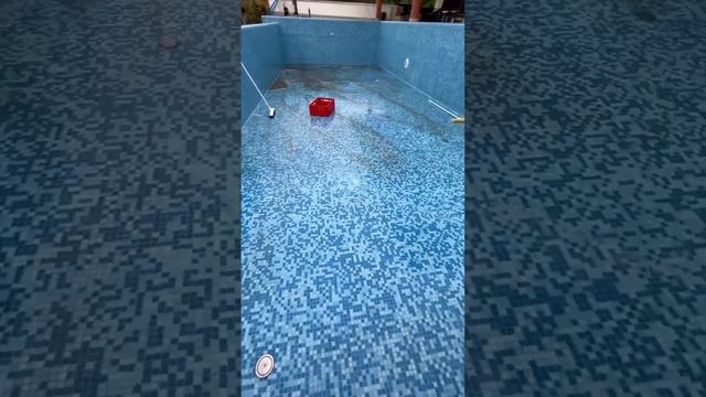 Cleaning Swimming Pool Asmr #asmr #satisfying #short #poolcleaner смотреть онлайн