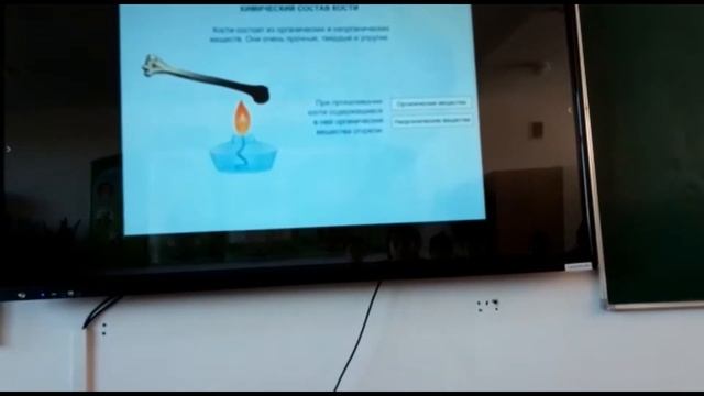 Биология пәнінен инновациялық сабақ смотреть онлайн
