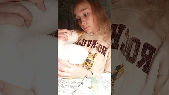 звукобуквенный разбор слова МЫШЬ смотреть онлайн