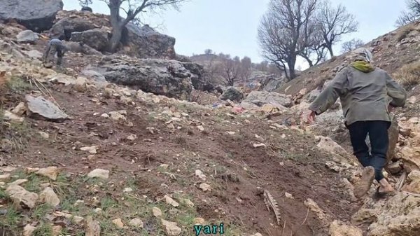 "Rescue mission or relationship problems? Tayyaba's candidate is facing difficult choices"