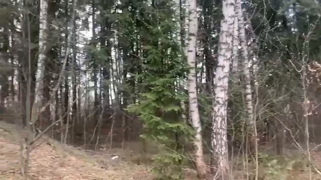 зу 1308 смотреть онлайн