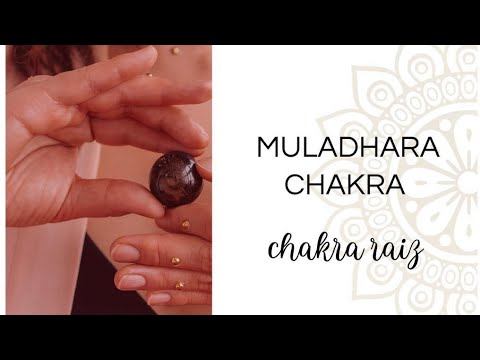 meditación muladhara chakra - raiz смотреть онлайн