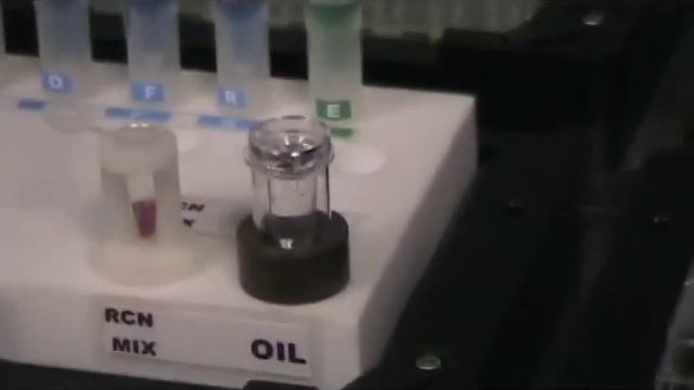 Master Reaction Mix preparation as in FVL and PGM смотреть онлайн