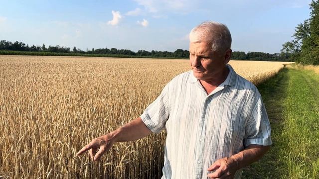 Хлеб с отрубями - польза или вред? смотреть онлайн