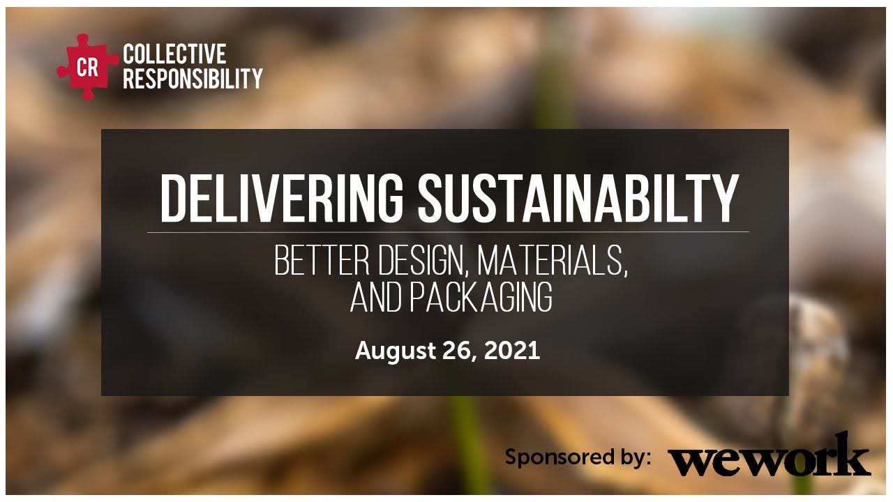 Delivering Sustainability in China | Collective Responsibility Forum смотреть онлайн