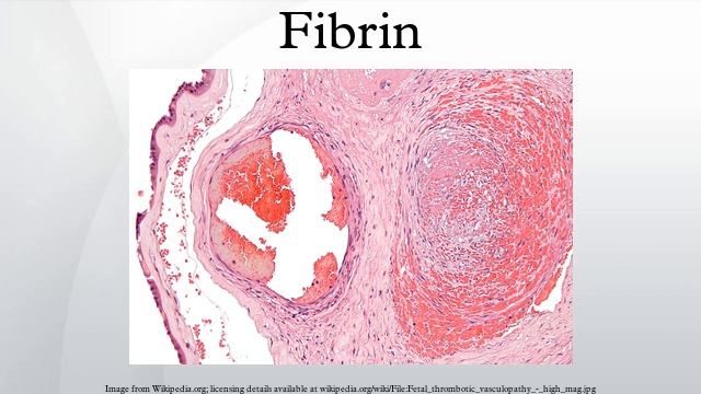 Fibrin