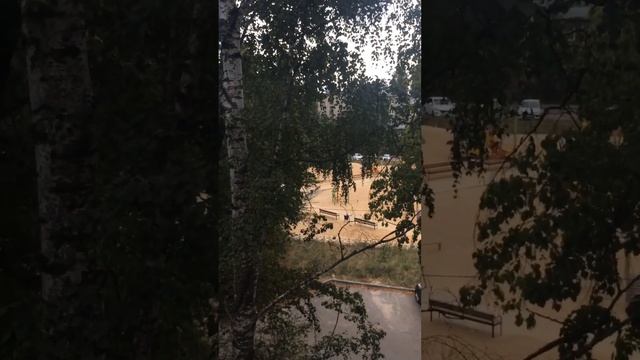 Типичный город Воронеж смотреть онлайн