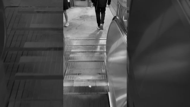 Первый снег 🎉