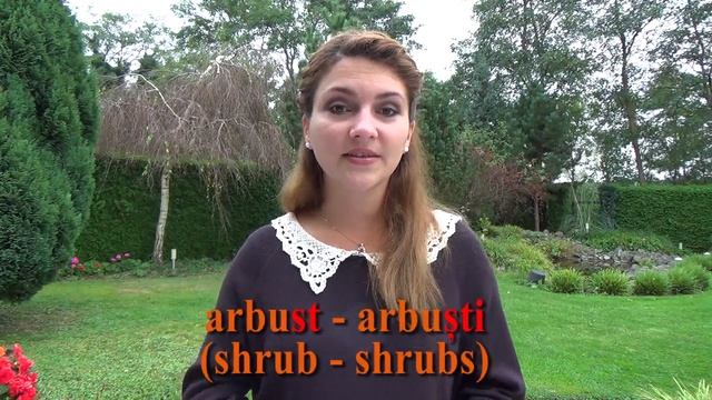 Learn Romanian with Nico - Plural in Romanian (Masculine) смотреть онлайн