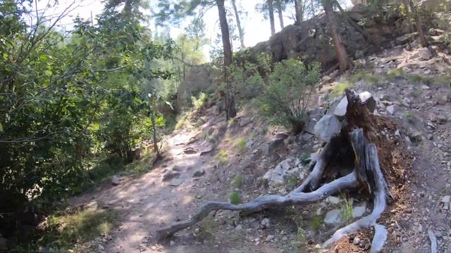 спускаемся посмотреть где хотяб ноги в воду Jemez Falls trailhead смотреть онлайн