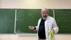 Теория функциональных систем П К Анохина  1