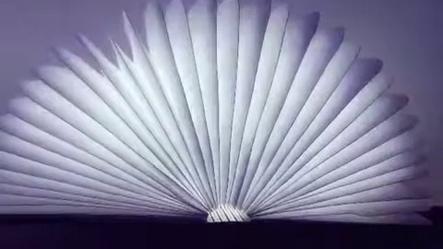 QL01 book light смотреть онлайн