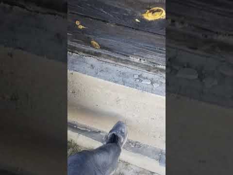 Опилкобетон. Арболит. смотреть онлайн