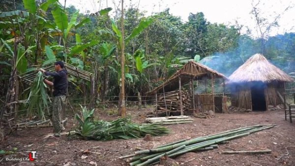 Building New Life- Build a House For Wild Chickens, Build Big Farm, Green Forest Life | Ep.21