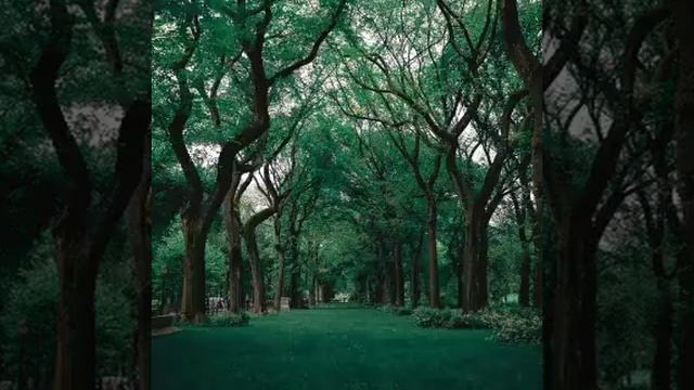 Rainy tempo смотреть онлайн