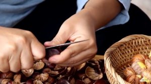 板栗熟了，弟弟粘着我去打板栗，给他做了板栗烧鸡解解馋！【滇西小哥】