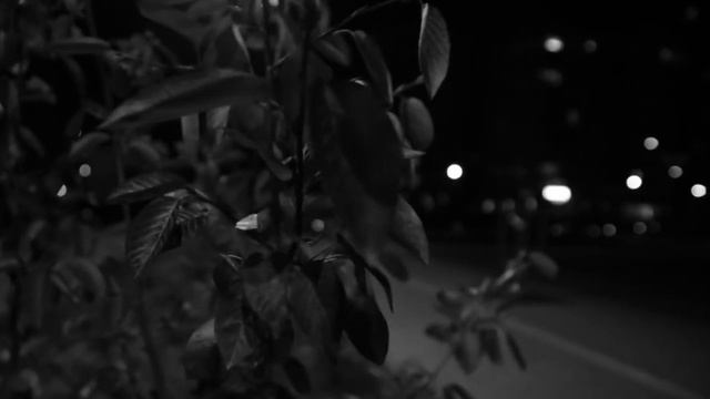 Моя ночная прогулка к ледовой арене смотреть онлайн