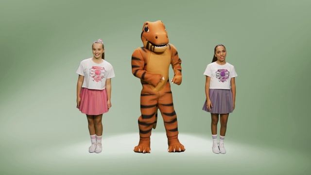 Level 4 - (sh, ch, th, th, qu, ng, wh, ph, g gem, c city) Phonics Learning Video SOR Squad смотреть онлайн