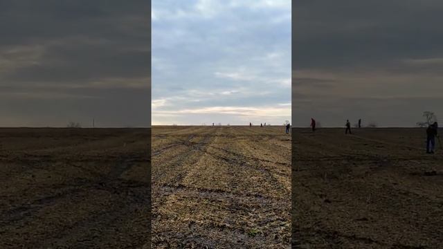 шелезяка смотреть онлайн