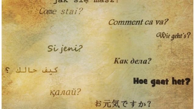 Лингафон 24.11.2016 смотреть онлайн